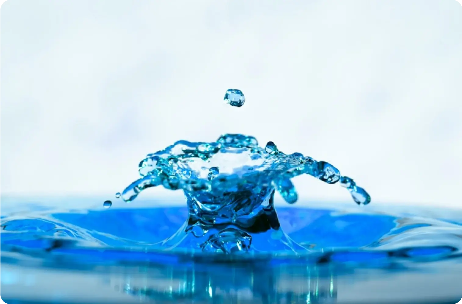 انضم إلى تحدي AquaTech للمبتكرين 2024