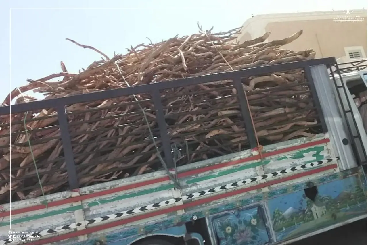 كجزء من جهودها للحفاظ على البيئة، نفذت وزارة البيئة