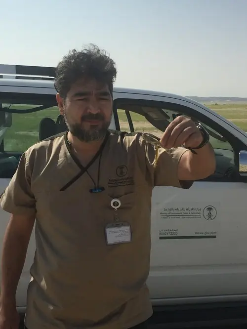 وزارة البيئة تواصل مسح واستكشاف الجراد الصحراوي