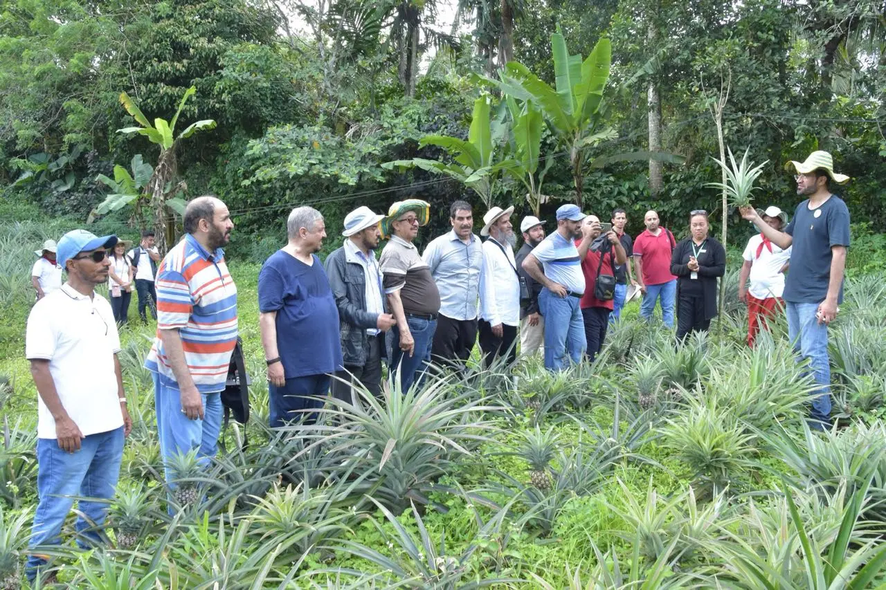 مزارعون ينهون برنامج **السياحة الزراعية** في **الفلبين