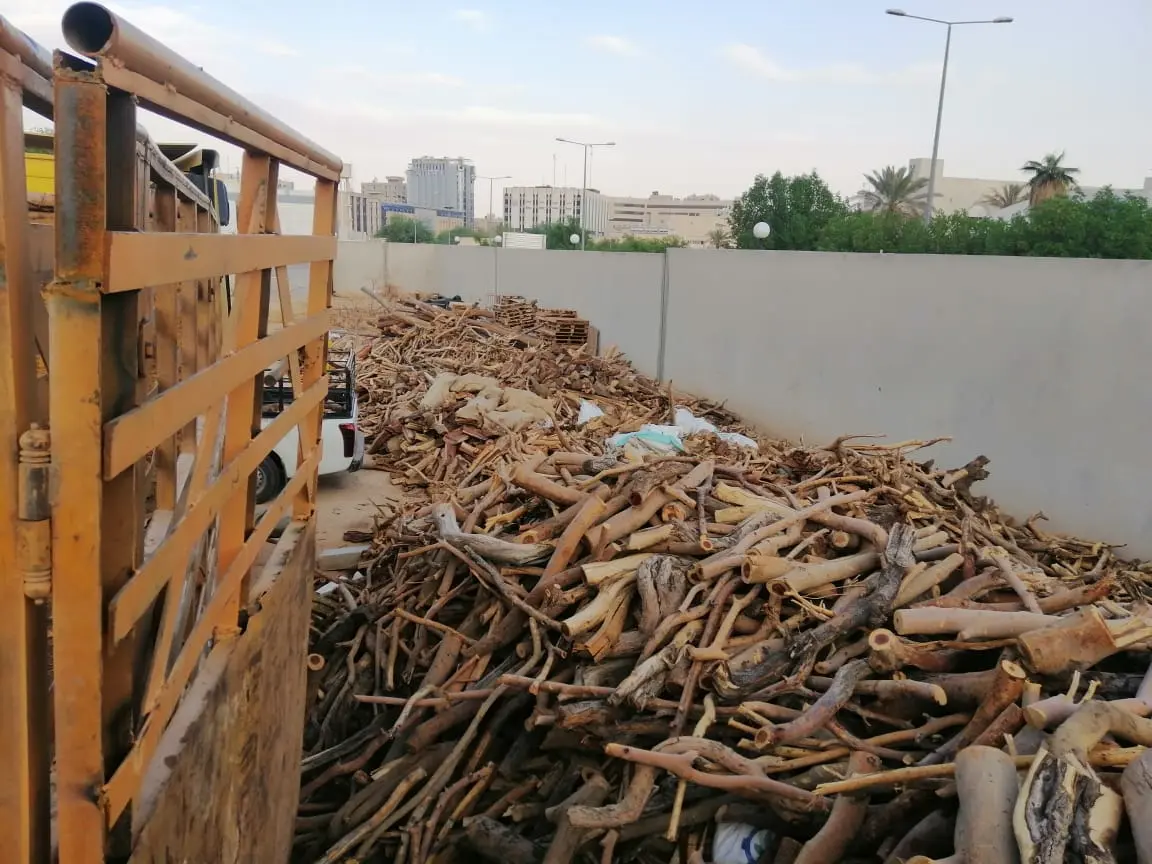 نفذت وزارة البيئة حملات مشتركة لمنع الاحتطاب في 5 مناطق