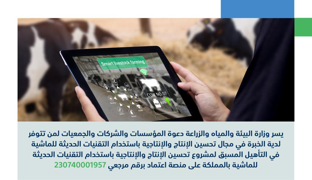 تحسين إنتاج الماشية بالتقنيات الحديثة