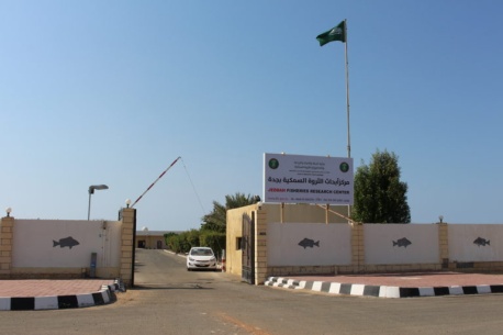 صورة مركز جدة.jpg