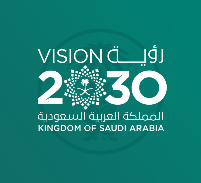 برنامج التحول الوطني 2020