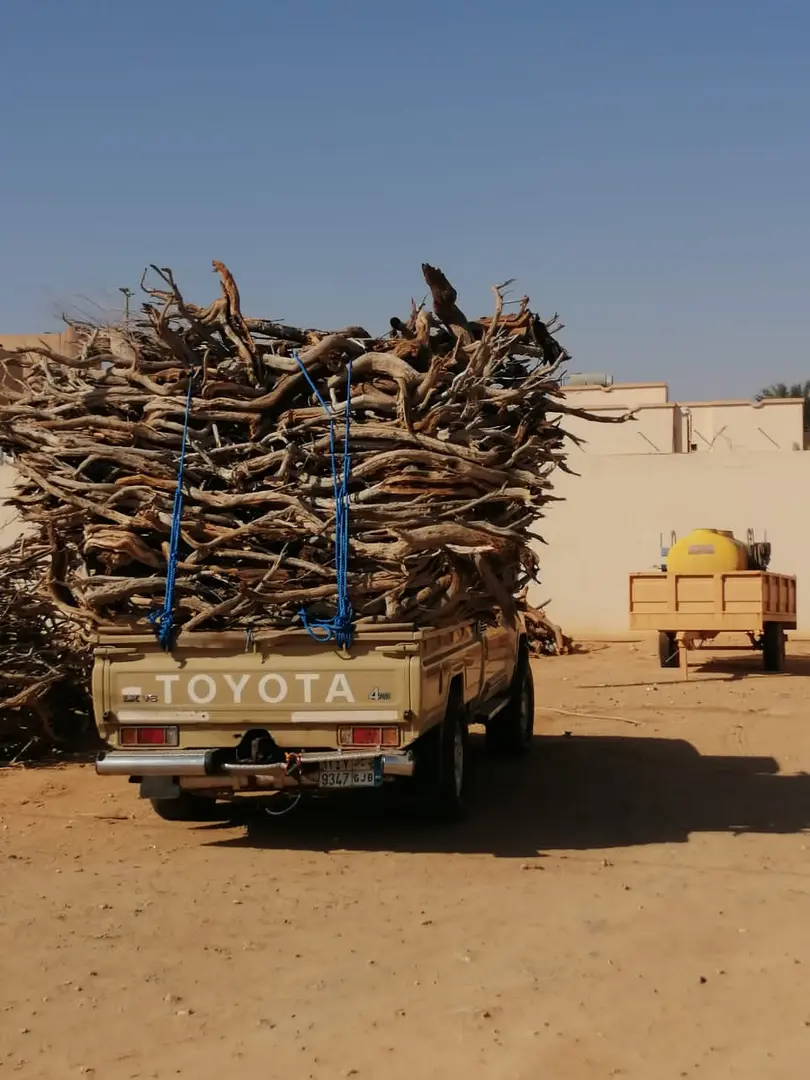 نفذت وزارة البيئة حملات مشتركة لمنع الاحتطاب في 5 مناطق